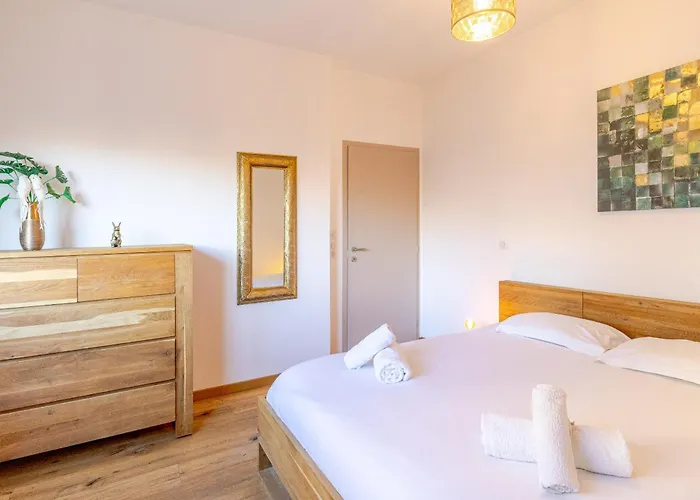 Reflet Du Veyrier 4 Etoiles - Proche & Vieille Ville, Garage Prive, Secteur Recherche 公寓 阿讷西